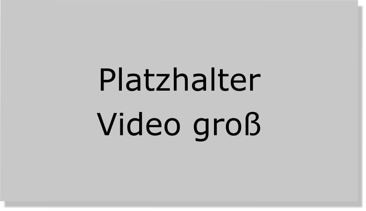 Einführungsvideo Spanisch 5000