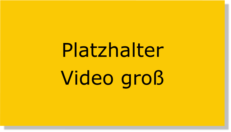 Platzhalter Video groß